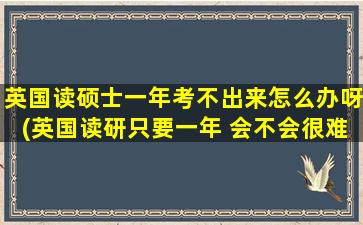 英国读硕士一年考不出来怎么办呀(英国读研只要一年 会不会很难毕业)